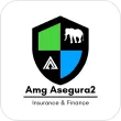 amg